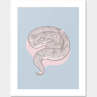 Axanthic Ball Python Original Illustration Posters and Art